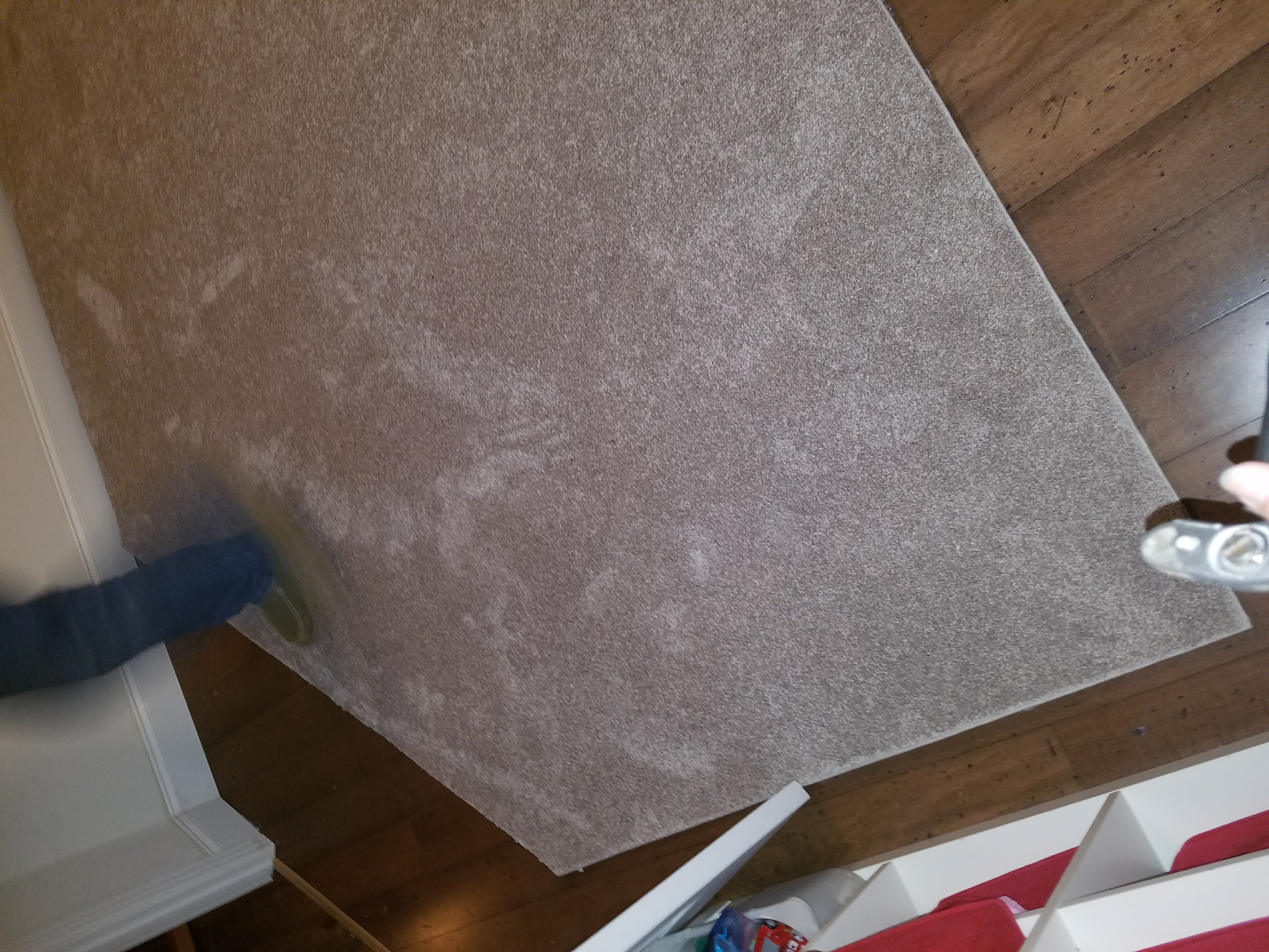 Bucks County Carpet & Floor Custom Area rugs